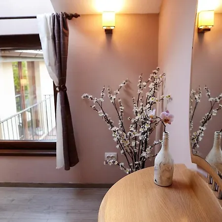 Apartament Rozelor Braşov Extérieur photo